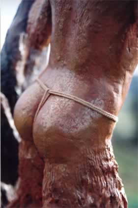 Sculpture of Pan, detail